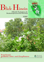 Blick Hinein 2007-2
