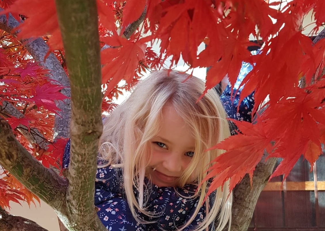 Kleines Mädchen sitzt auf einem Baum mit gefärbten Blättern.