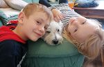 Das Bild zeigt einen 7-jährigen Jungen und ein 5-jähriges Mädchen mit einem weißen Hund. Sie kuscheln miteinander auf der Couch.